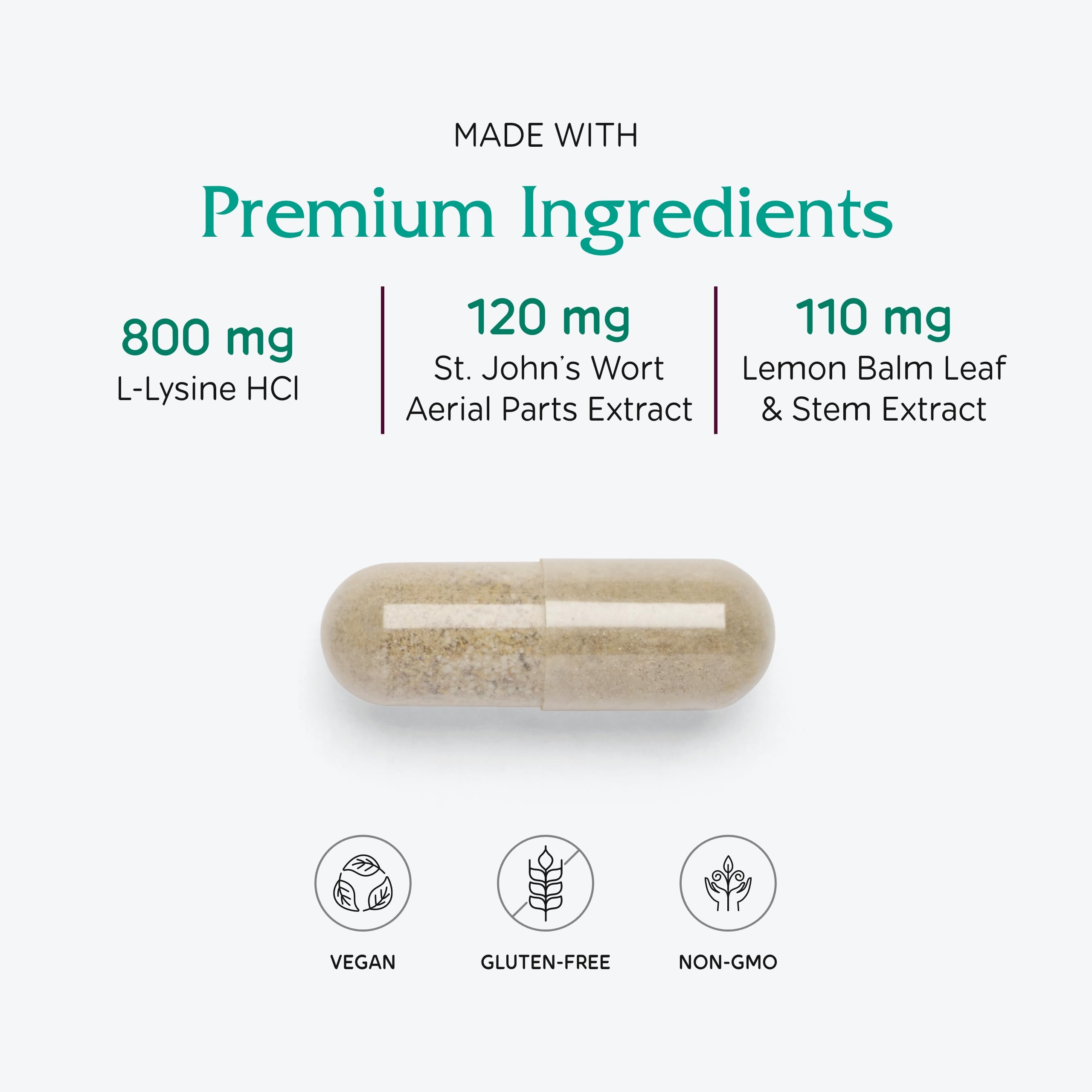 Lysine Extra ingredients blend in plant-based form