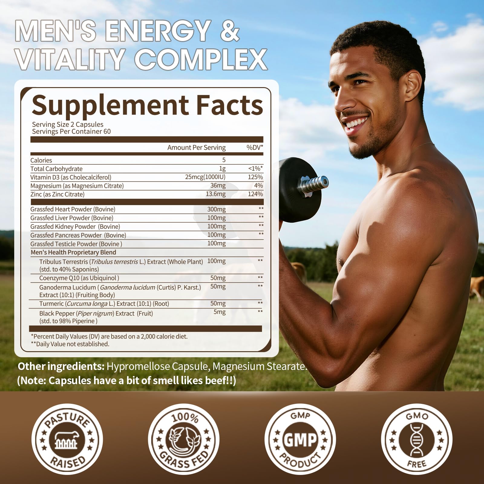 M inch beef kidney and pancreas capsules closeup point to digestion and endurance benefits