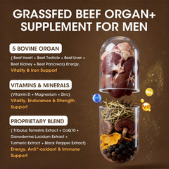 M inch beef liver capsules closeup emphasizes iron and immune support elements