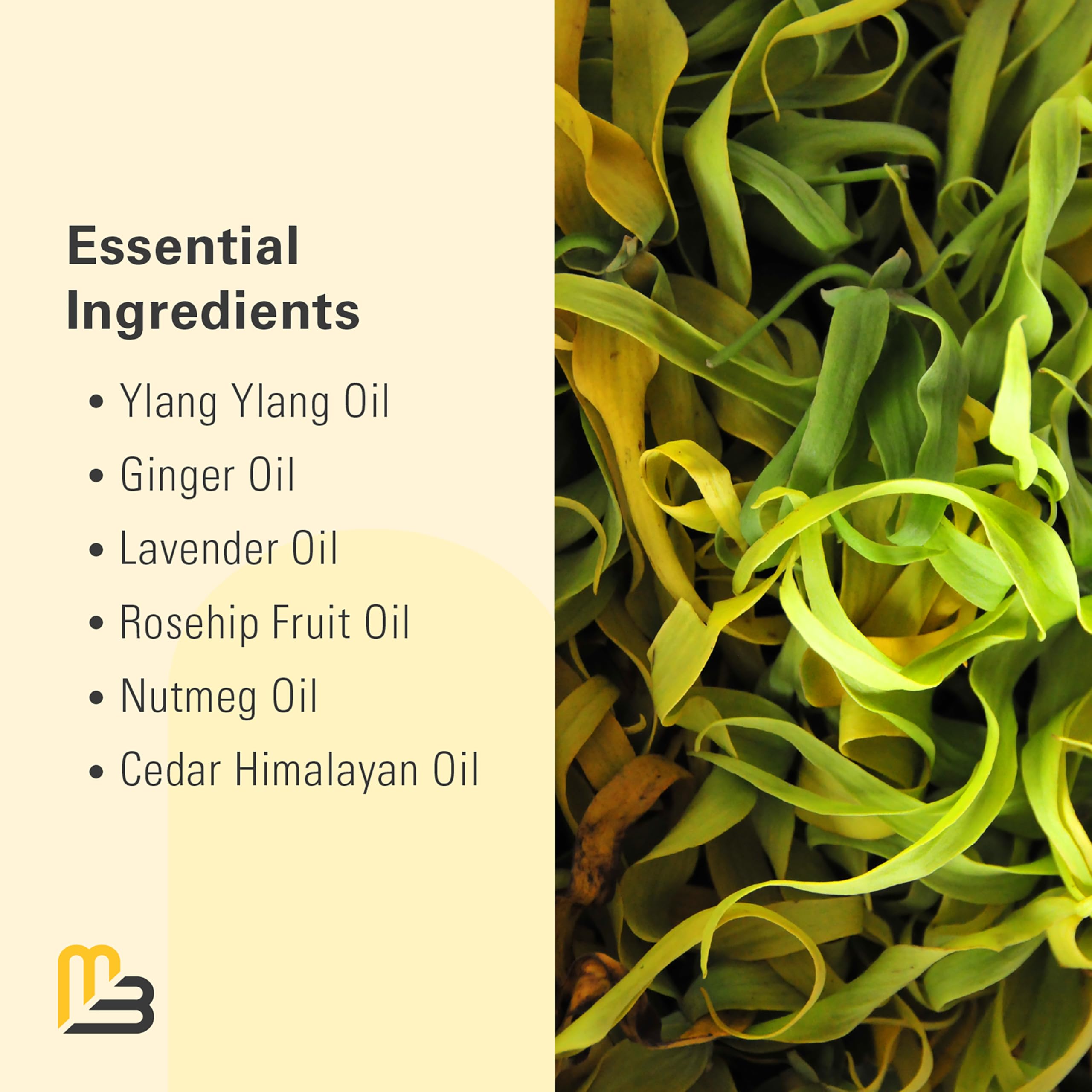 M3 Naturals collagen stem cells enhancement highlights skin elasticity and nourishment.