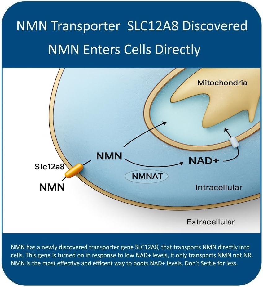 MAAC10 NMN packaging box highlighting GMP and third-party testing