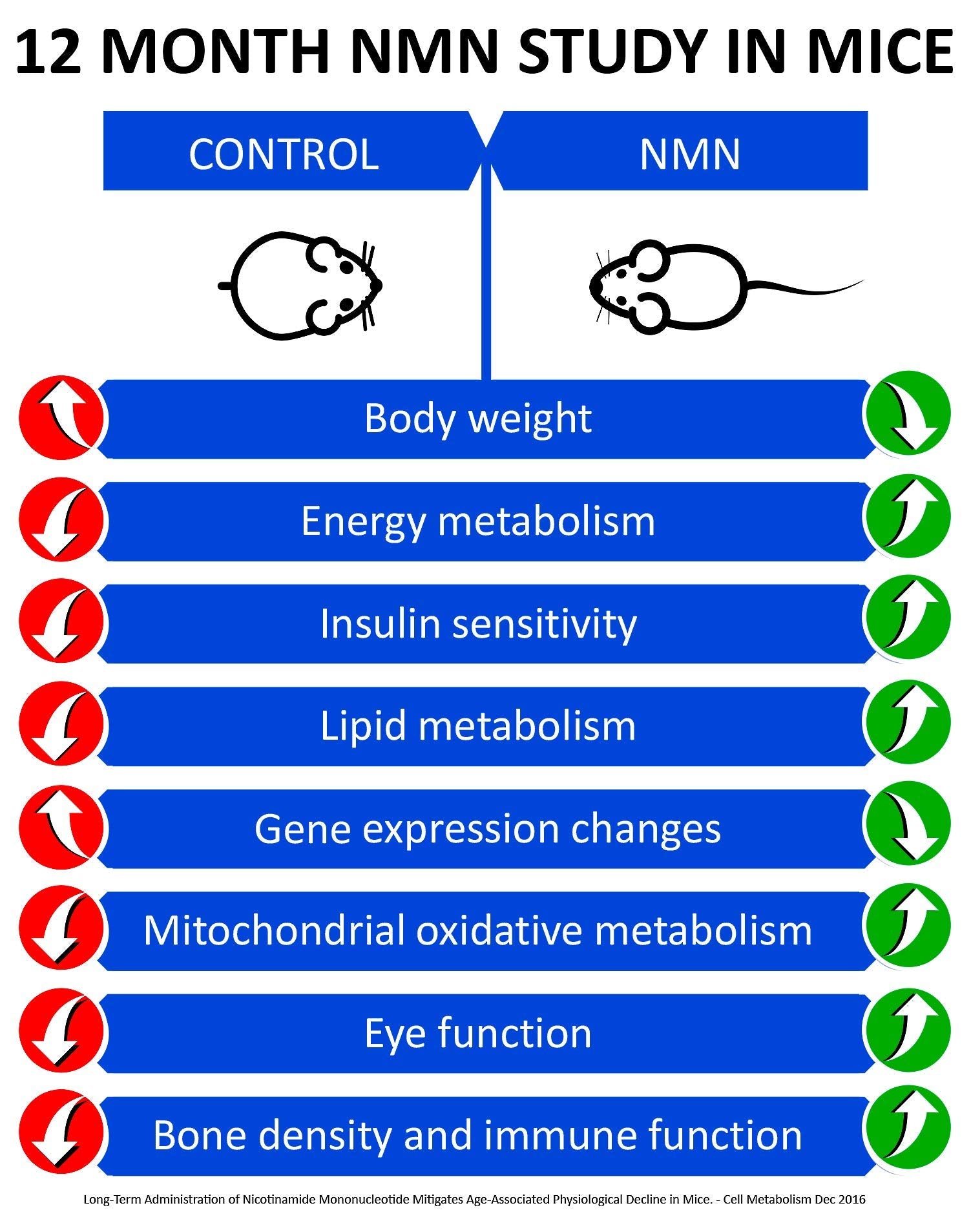 MAAC10 NMN label close-up for purity indicators.