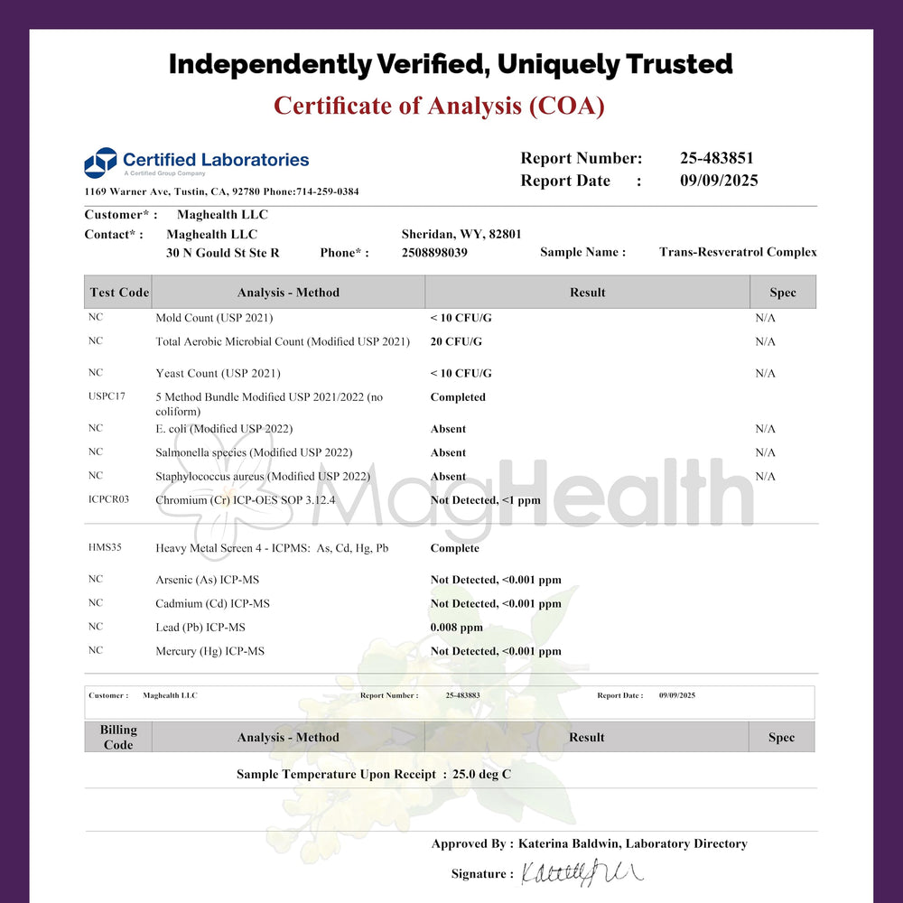 MagHealth Quercetin antioxidant balance image conveys healthy aging potential