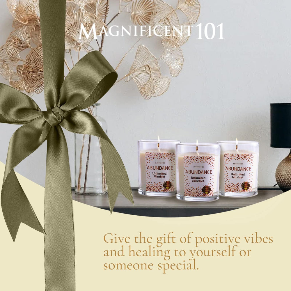 Magnificent 101 Abundance Mindset set, gift-ready packaging for thoughtful presents