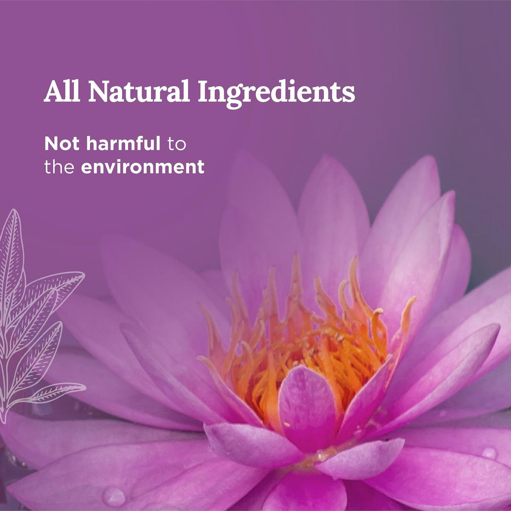 Magnificent 101 sage and palo santo aroma fills the room for clarity.