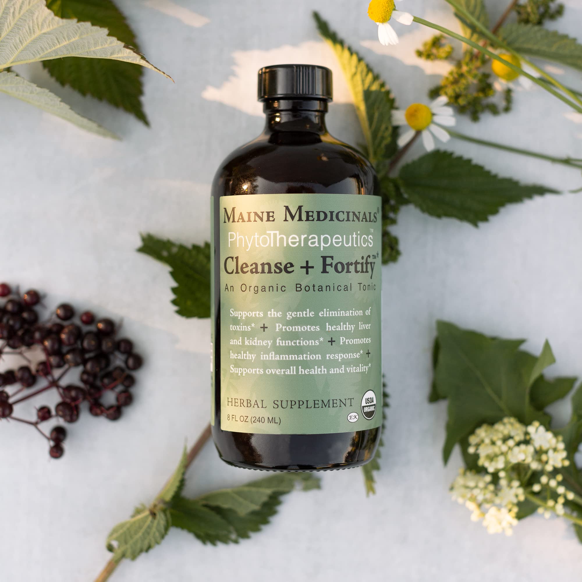 Maine Medicinals Cleanse Fortify label closeup highlights organic detox ingredients