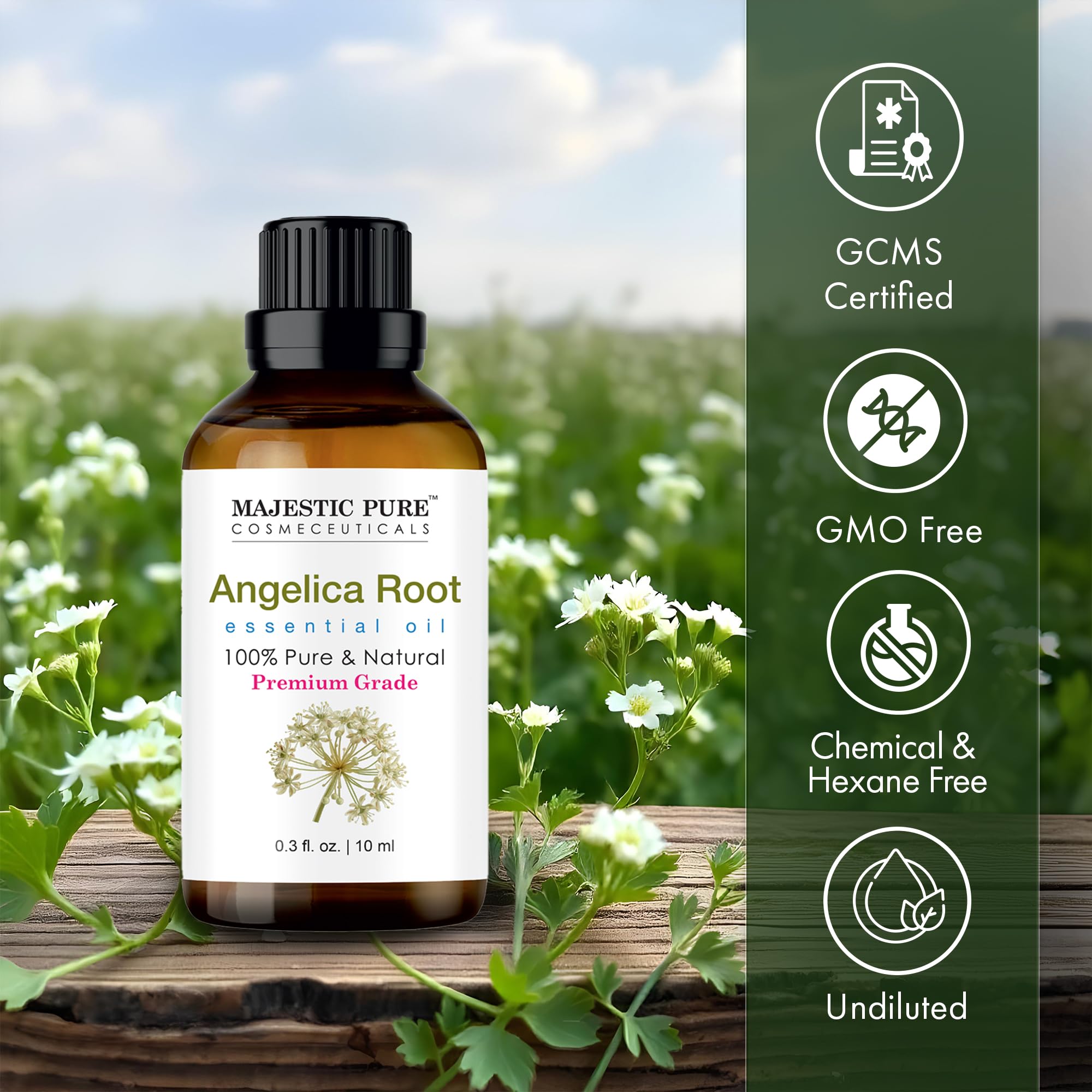 Amber Majestic Pure angelica root oil bottle protects against UV light.