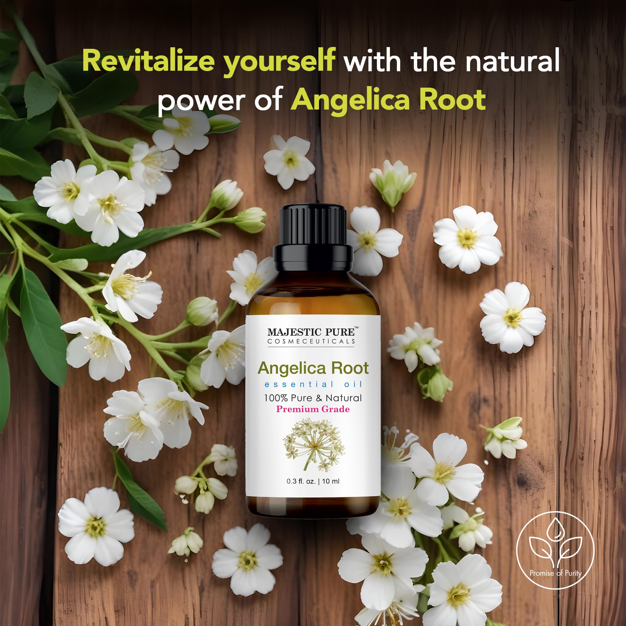 Diffuser setup with Majestic Pure angelica root oil for home fragrance.