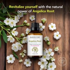 Diffuser setup with Majestic Pure angelica root oil for home fragrance.