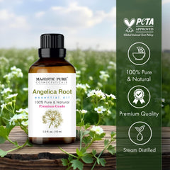 Majestic Pure angelica root oil with glass dropper for precise dosing.