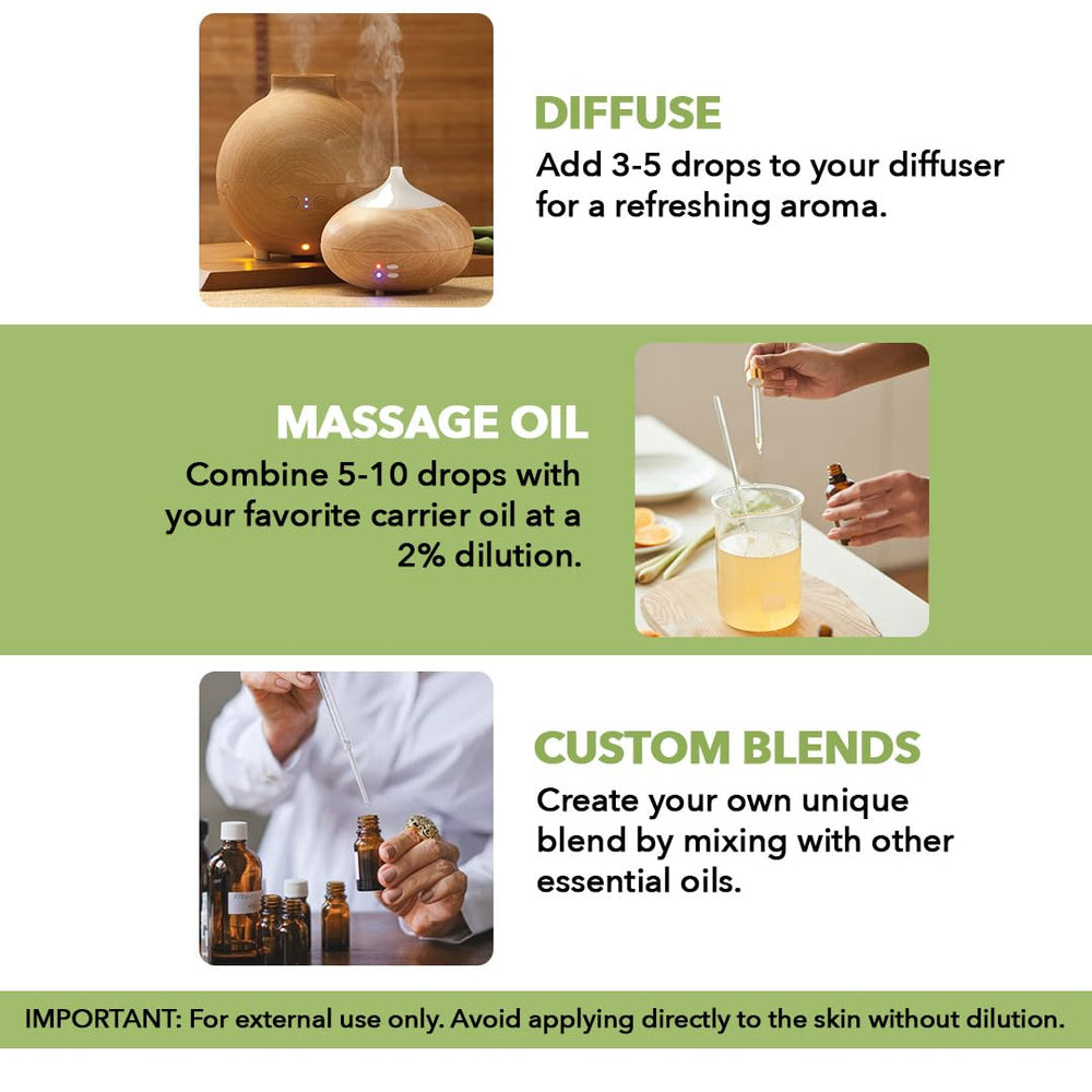 Difusor con Majestic Pure aceite de menta, aroma fresco y revitalizante para espacios.