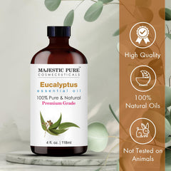Eucalyptus aroma diffusing with Majestic Pure in a calm space.