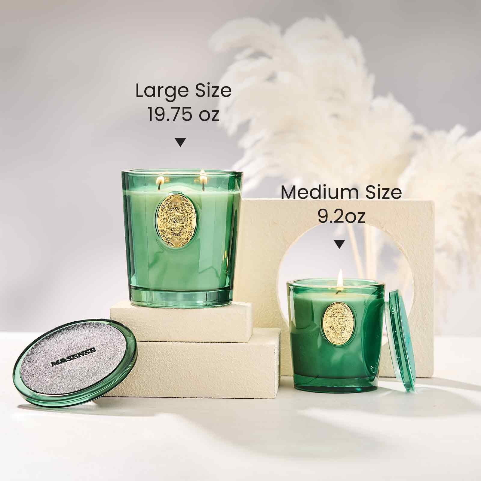 M&SENSE two-wick design provides steady scent release across rooms.