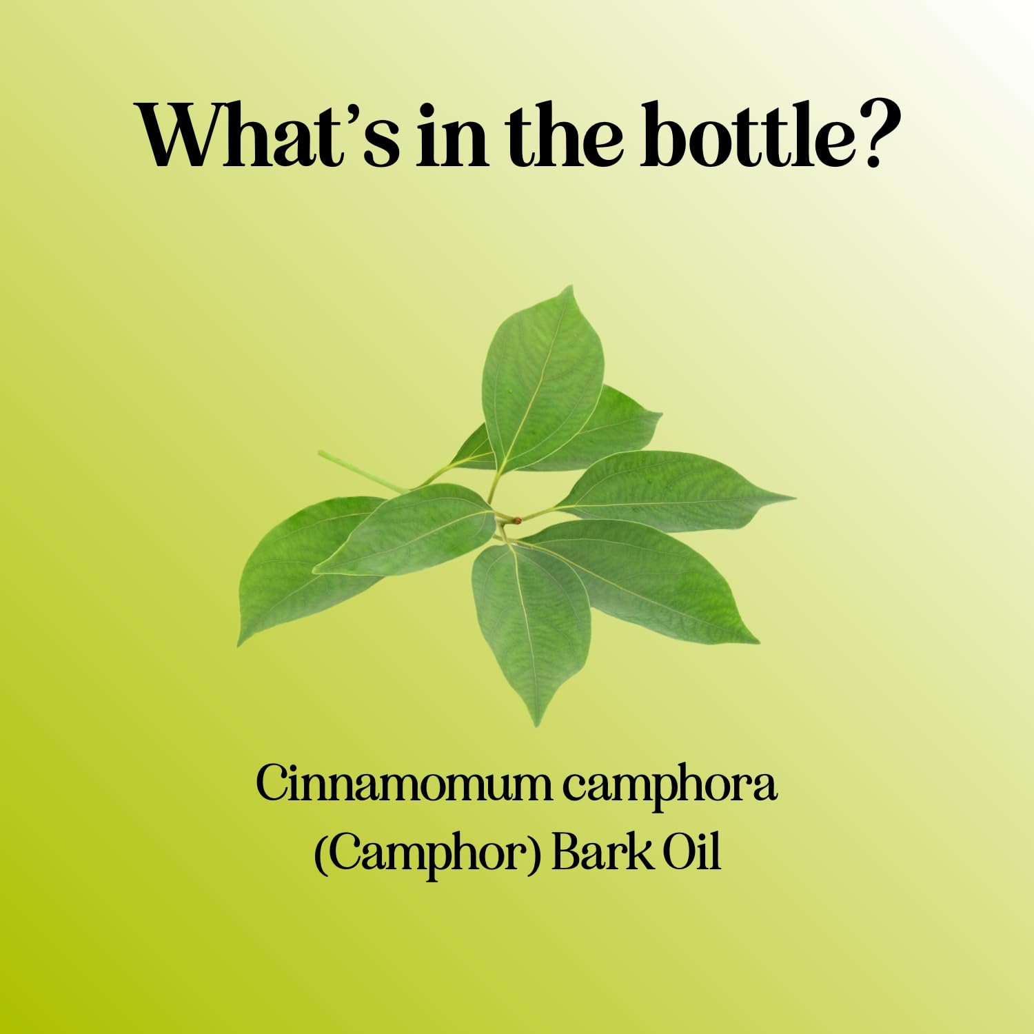 Maple Holistics camphor oil diffuser outdoor ambience on a patio.