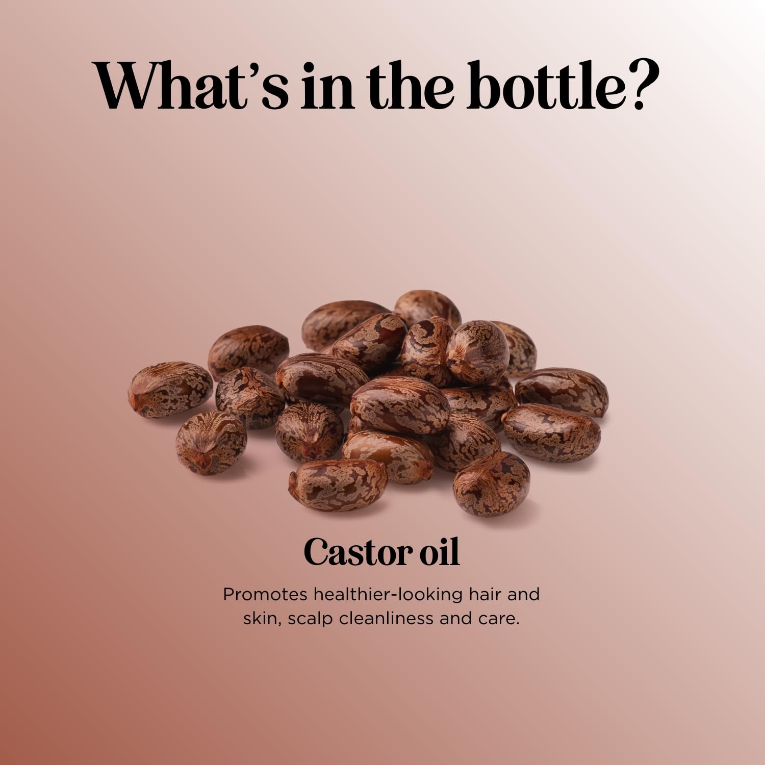 Maple Holistics 16 oz bottle offers long-lasting supply for daily routines.