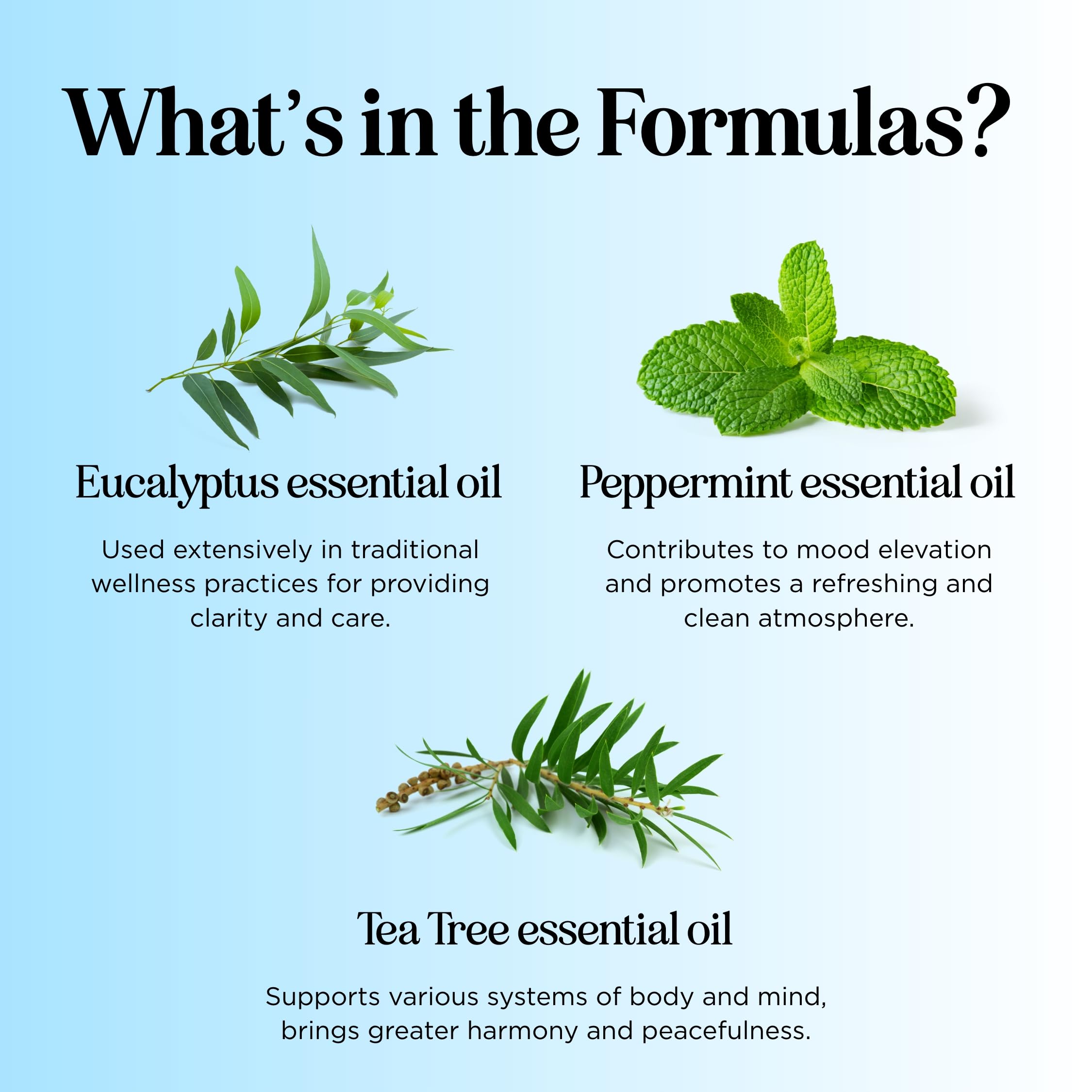 Maple Holistics pure essential oil blends designed for skin-friendly use