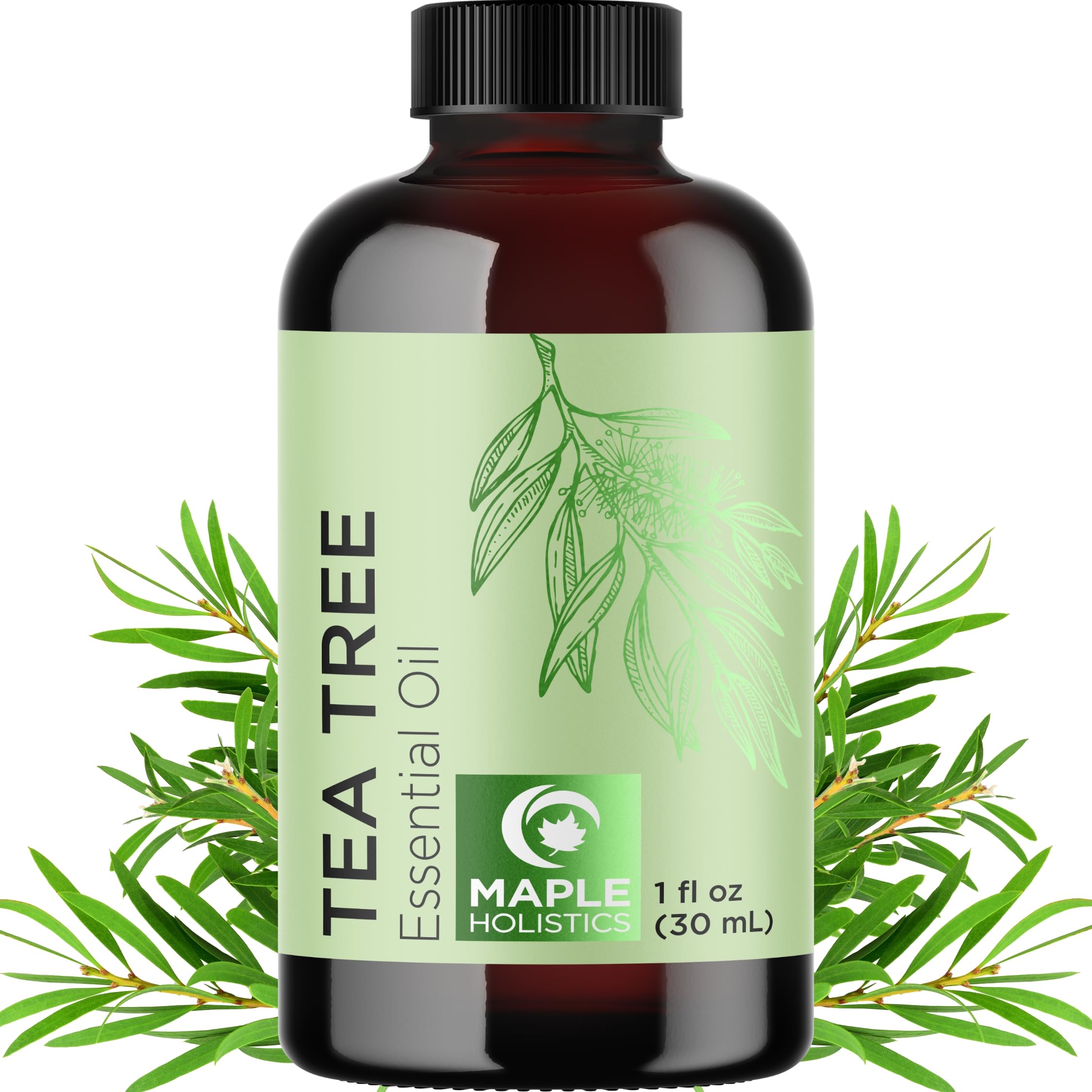 Maple Holistics Tea Tree Oil bottle for topical cleansing.