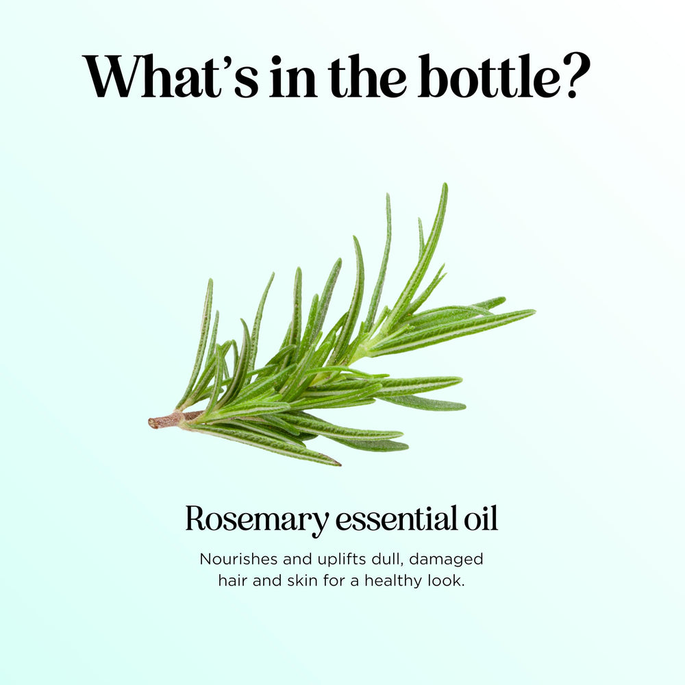 Maple Holistics Rosemary Oil hair application for scalp care in daily routines.