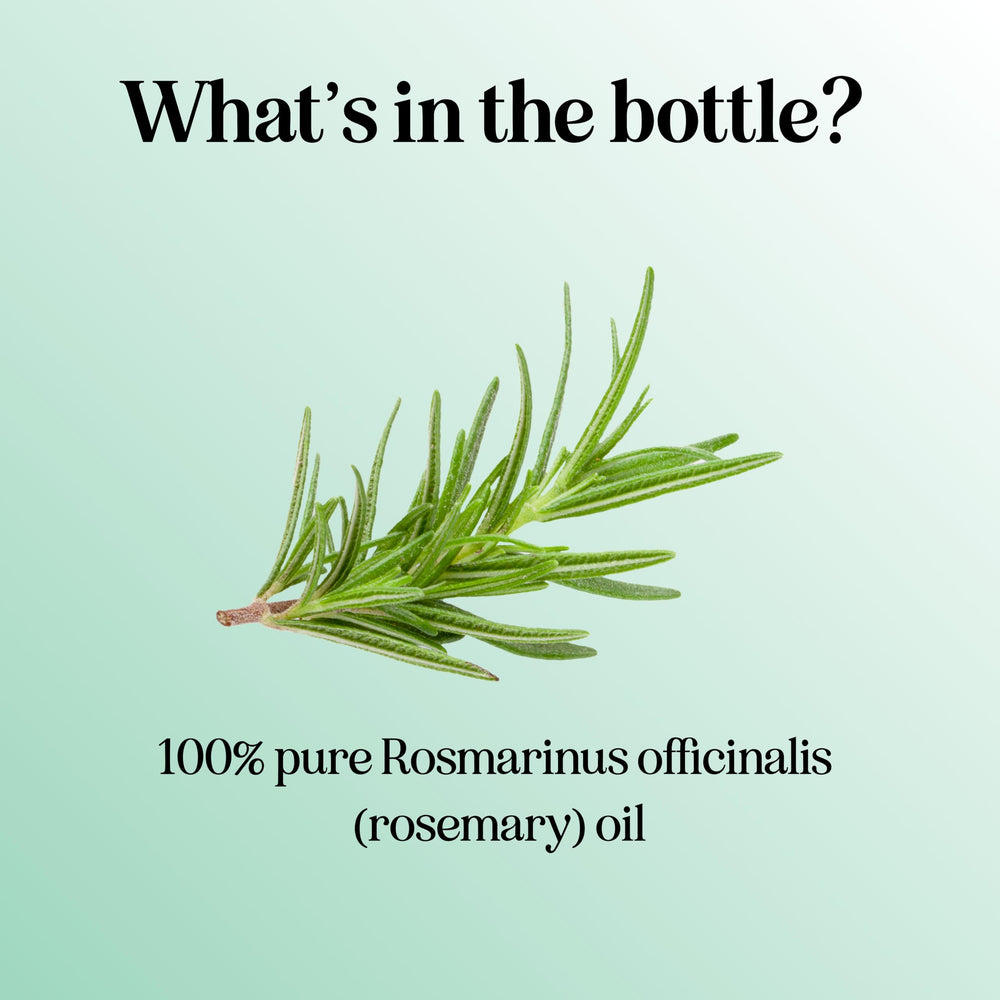 Maple Holistics rosemary oil hair-care use for shine and scalp care.