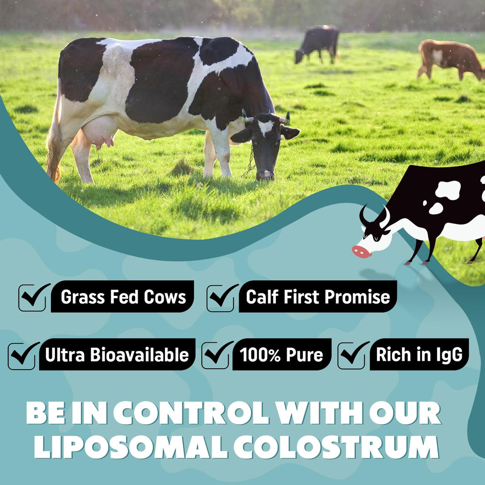 Marafiki premium grass-fed colostrum jar on the countertop for daily supplementation.