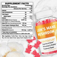 Marpvore Lions Mane Gummies raspberry closeup highlights tasty, caffeine-free focus option