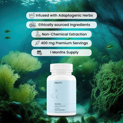 Mars by GHC Mars Sea Moss Caps bottle back-label: nutrition details for informed choices.
