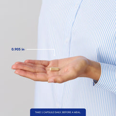 Marshmallow root and herbs in DGL Plus ingredients suggesting soothing herbal support for gut comfort