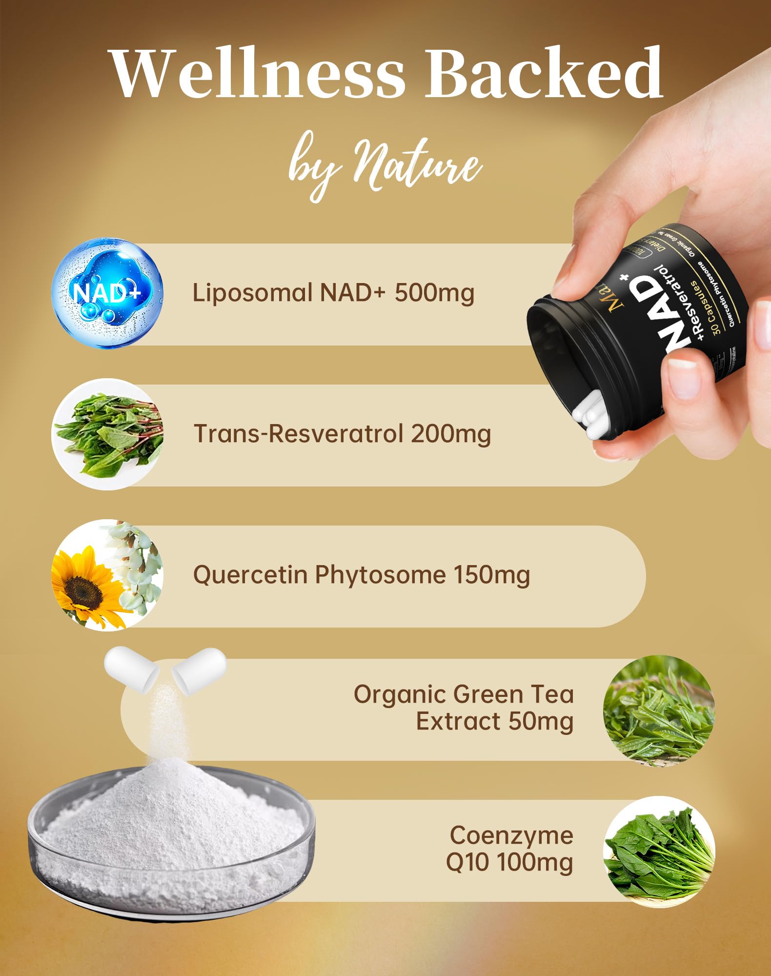 MARSTA NAD liposomal technology visual emphasizing enhanced absorption