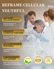 MARSTA resveratrol capsules close-up emphasizing daily focus and vitality.