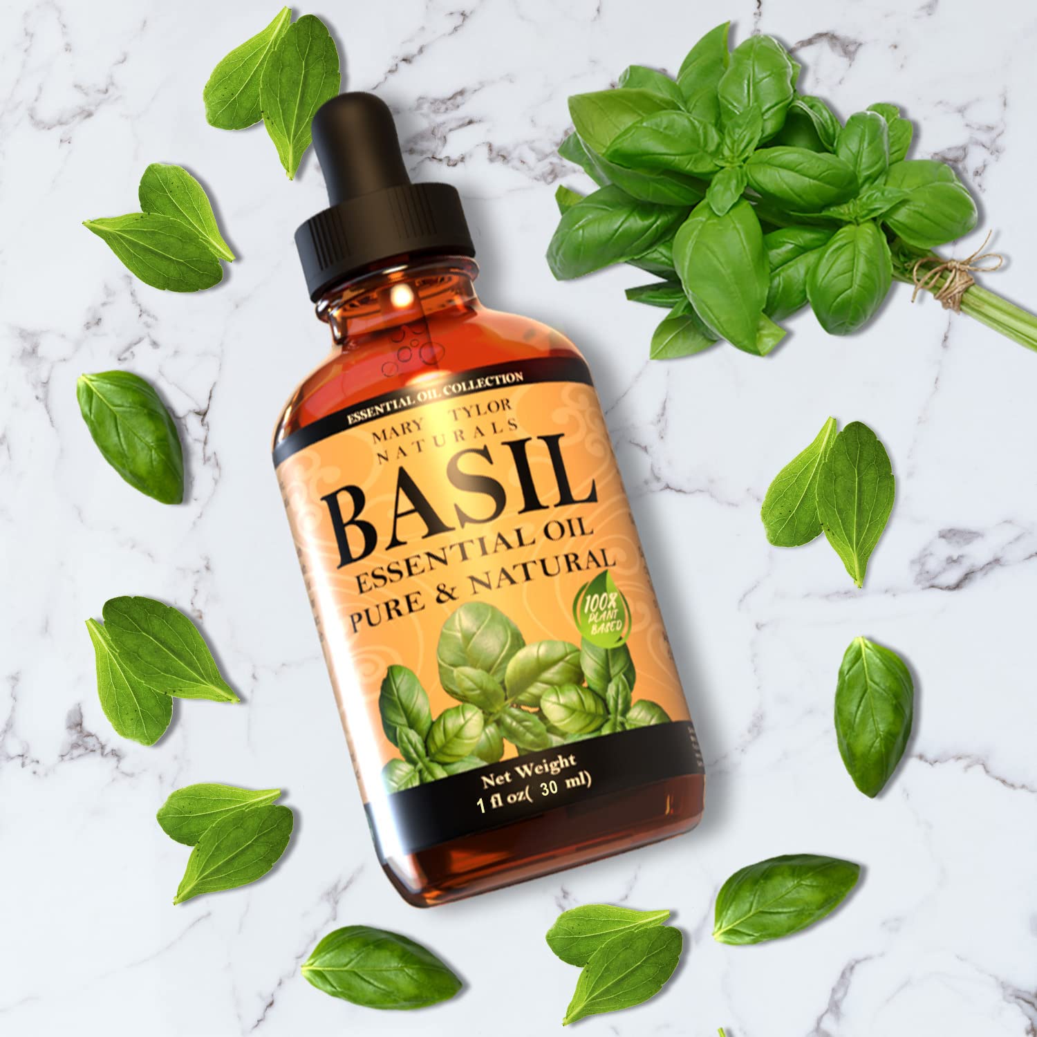 Basil essential oil in diffuser setup by Mary Tylor Naturals