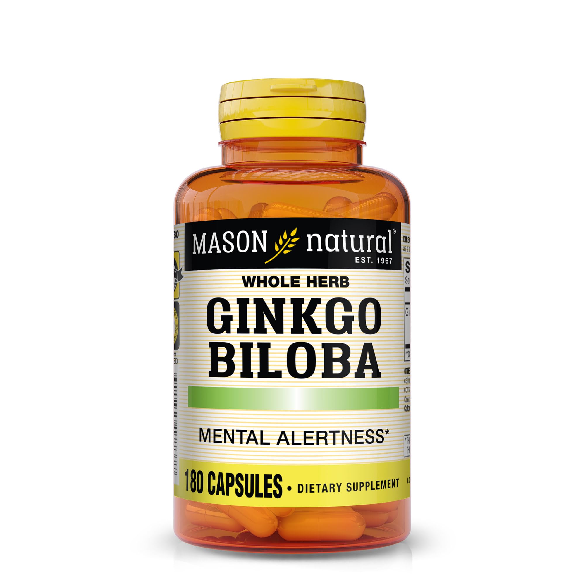Mason Natural Ginkgo Biloba capsules close-up; potential memory and focus support