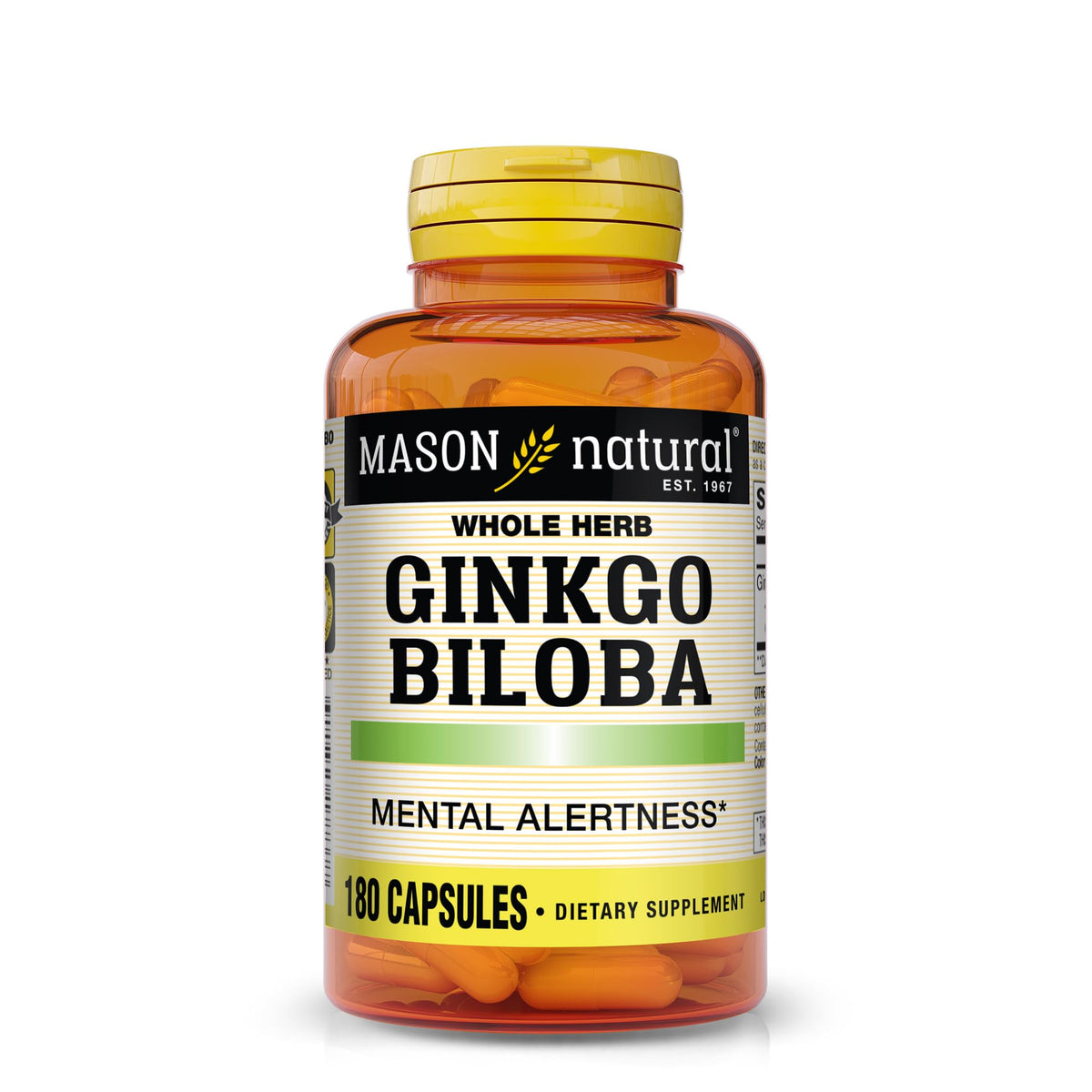 Mason Natural Ginkgo Biloba capsules close-up; potential memory and focus support