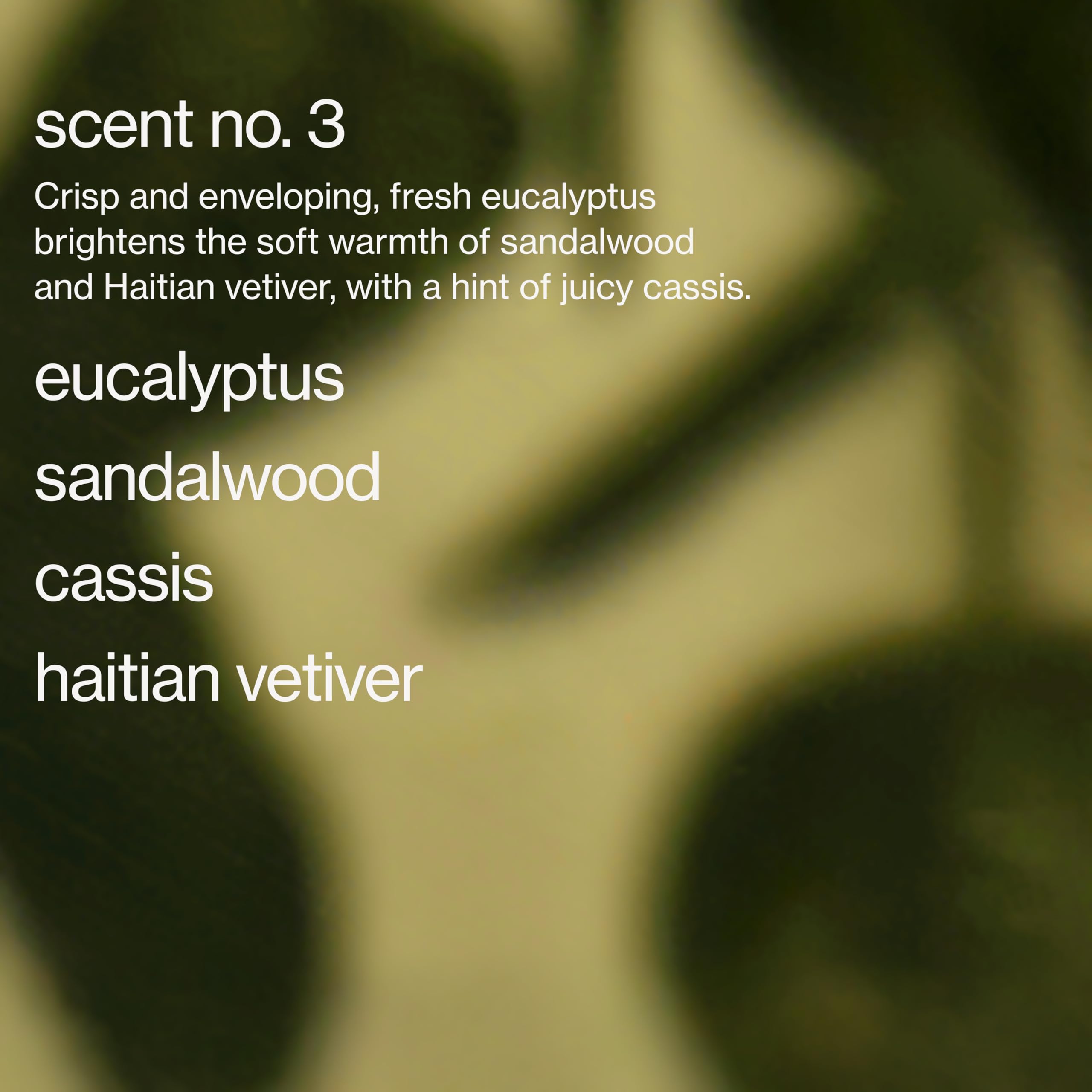 Maude Burn No. 3 evening relaxation ritual setup for calm routines.