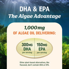 MAV Nutrition Algae Omega 3 packaging emphasizing convenient daily supplement.