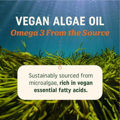 MAV Nutrition Algae Omega 3 softgels on clean background for brain support.