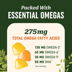 MAV Nutrition Omega 3-6-9 DHA gummies label close-up highlights vegetarian, non-GMO formulation.