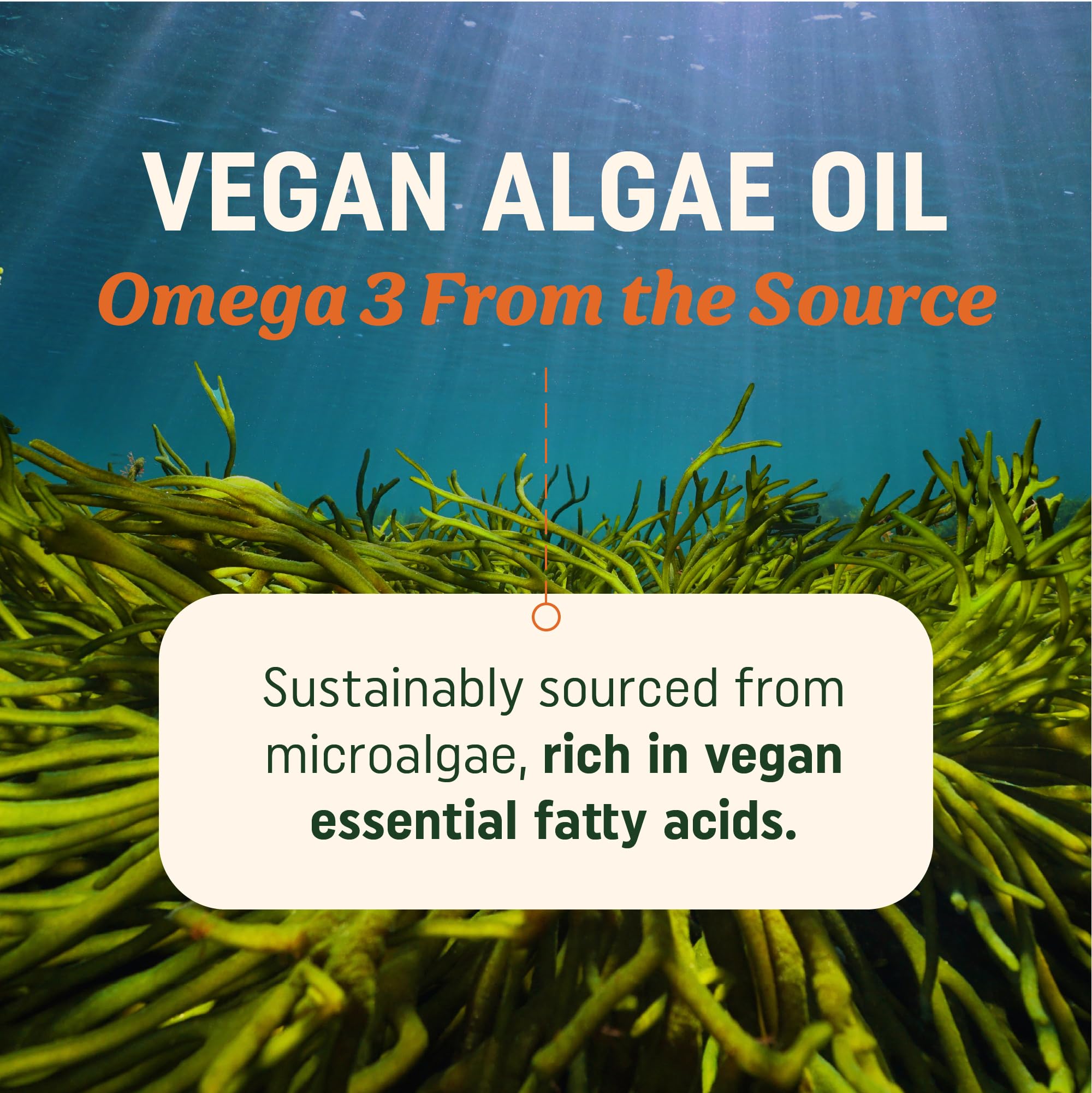 MAV Nutrition Vegan Omega-3 label details show non-GMO and carrageenan-free claims.