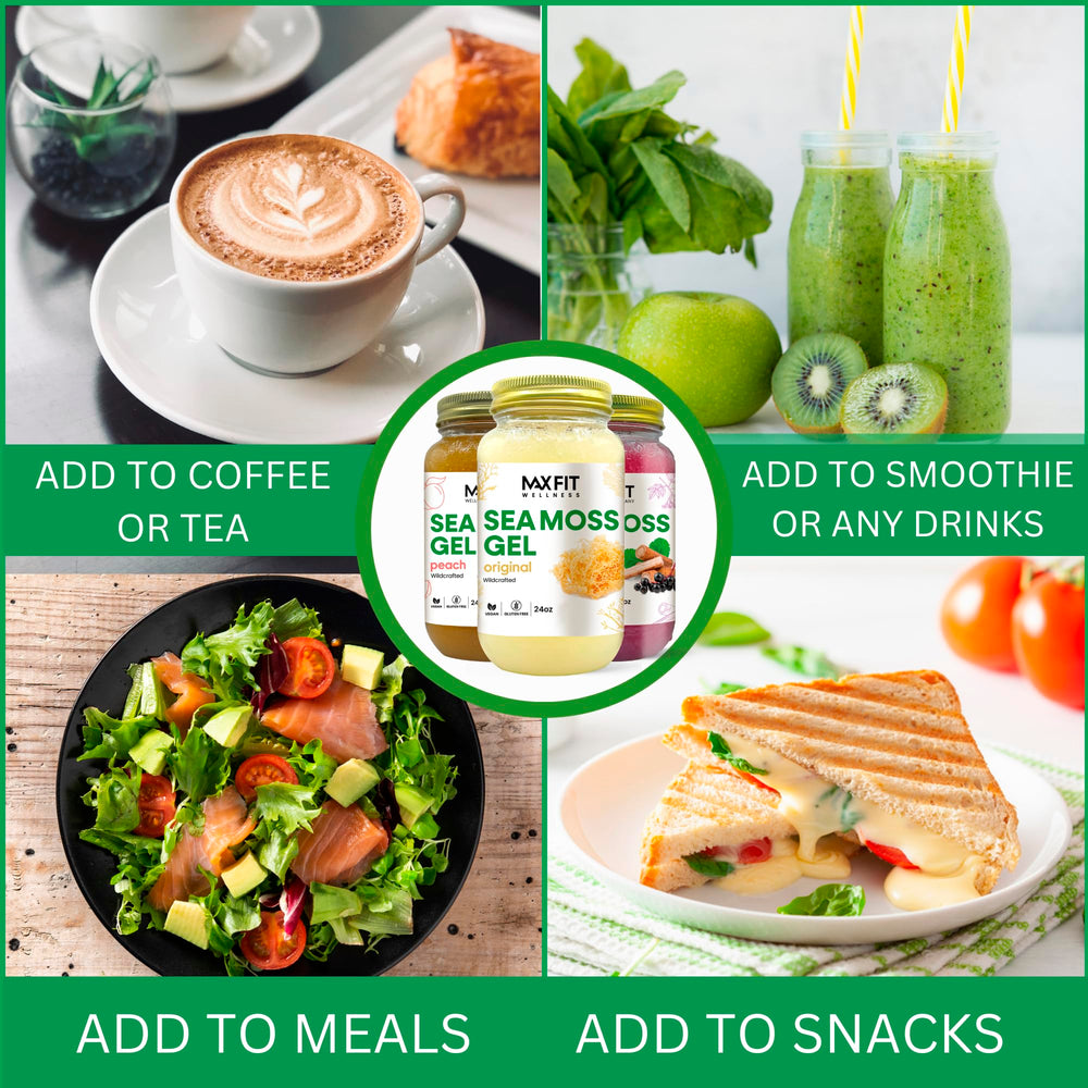 MAX FIT Sea Moss Gel refrigeration and storage guidance for freshness.