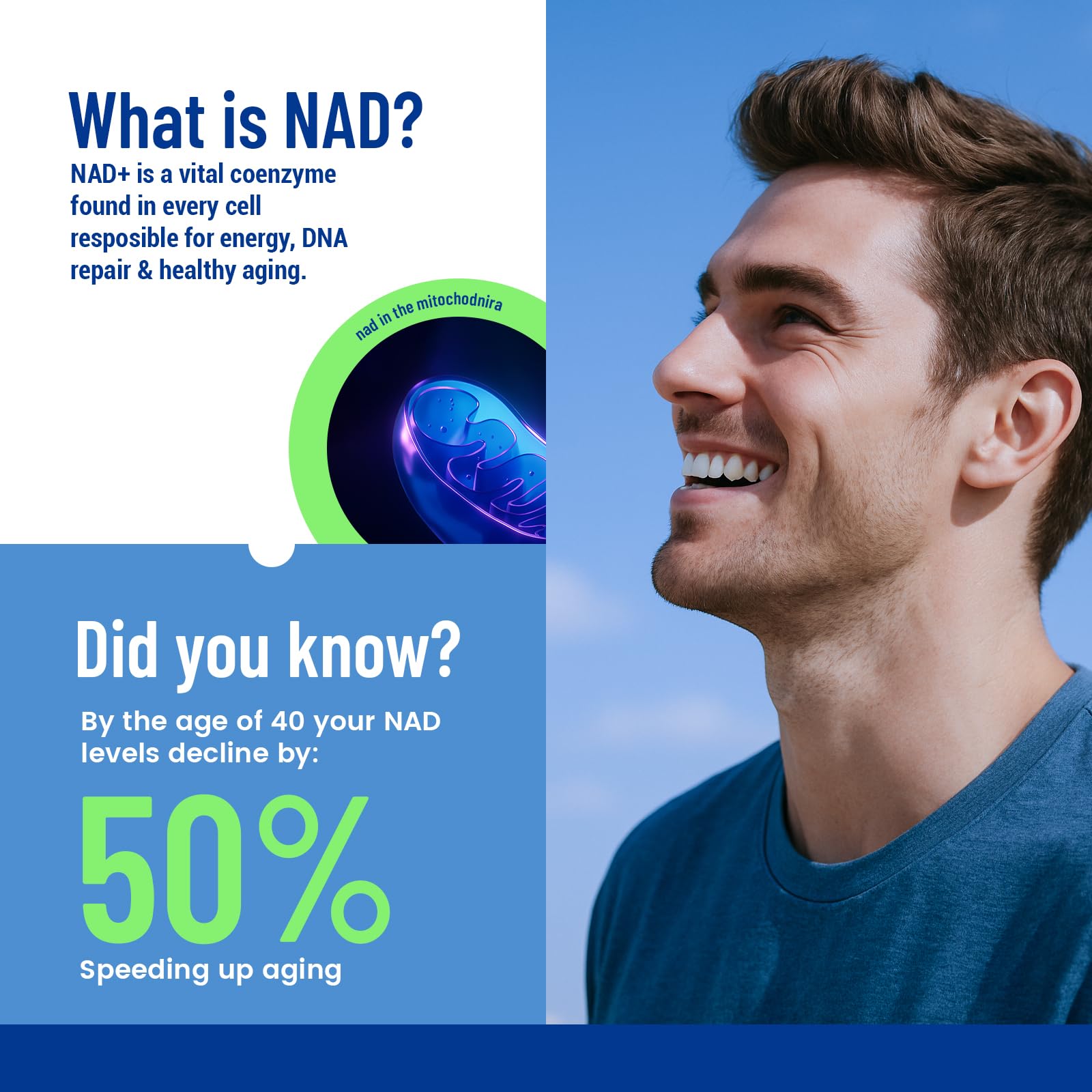 Maximum NAD patch vegan formula offering ethical wellness support.