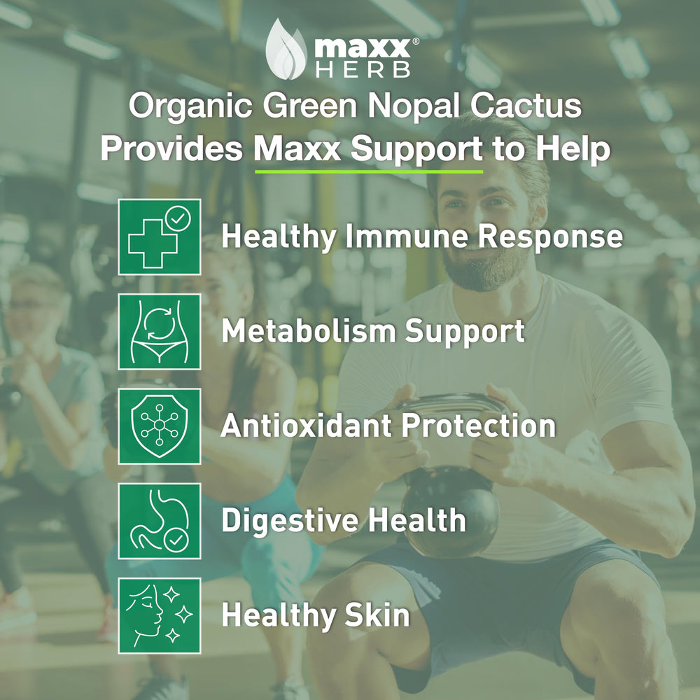 Maxx Herb Green Nopal Leaf Powder in a bowl, a natural nutrient-rich addition for everyday vitality.