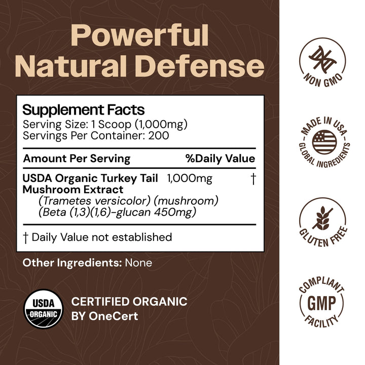 Close-up of Mayfair Naturals Turkey Tail Powder texture highlighting pure fruiting body extract