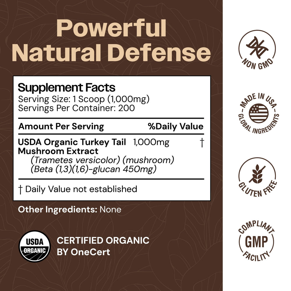 Close-up of Mayfair Naturals Turkey Tail Powder texture highlighting pure fruiting body extract