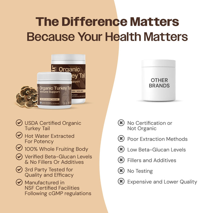 Mayfair Naturals Turkey Tail Powder stirred into coffee for a gentle wellness boost