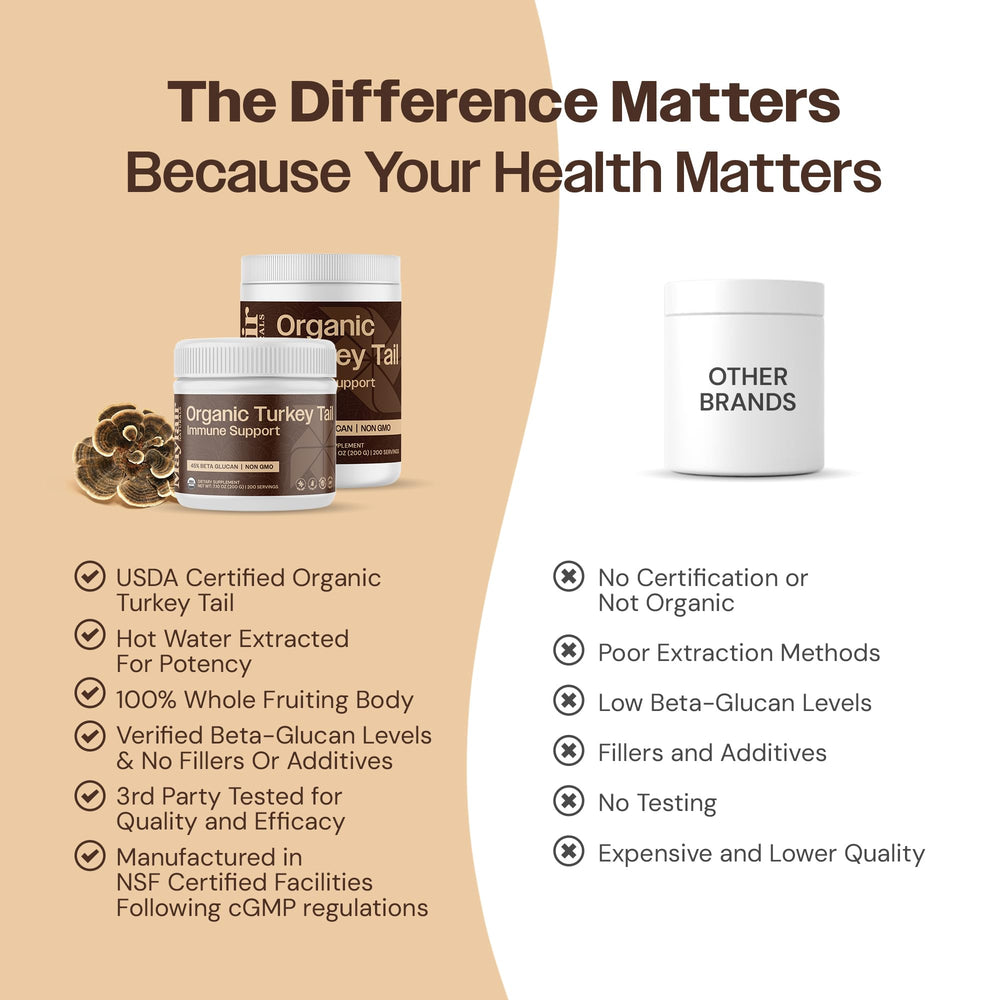 Mayfair Naturals Turkey Tail Powder stirred into coffee for a gentle wellness boost