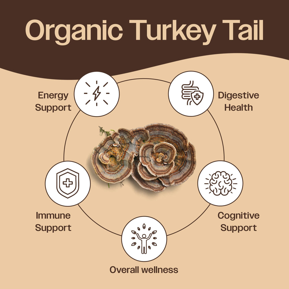 Mayfair Naturals Turkey Tail Powder scoop for easy daily dosing and digestive wellness