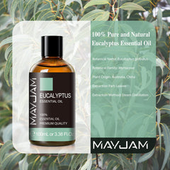 MAYJAM eucalyptus oil in a diffuser scene for a refreshed living space.