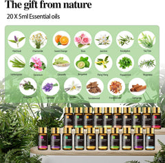 MAYJAM Tea Tree diffuser in use spreading fresh aroma