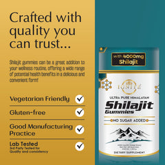 MBDH Wellness Shilajit Gummies close-up texture hints at chewy energy bites