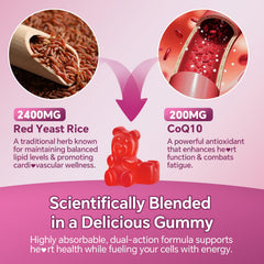 Mchokuu CoQ10 energy boost gummies showing two-in-one formula for vitality