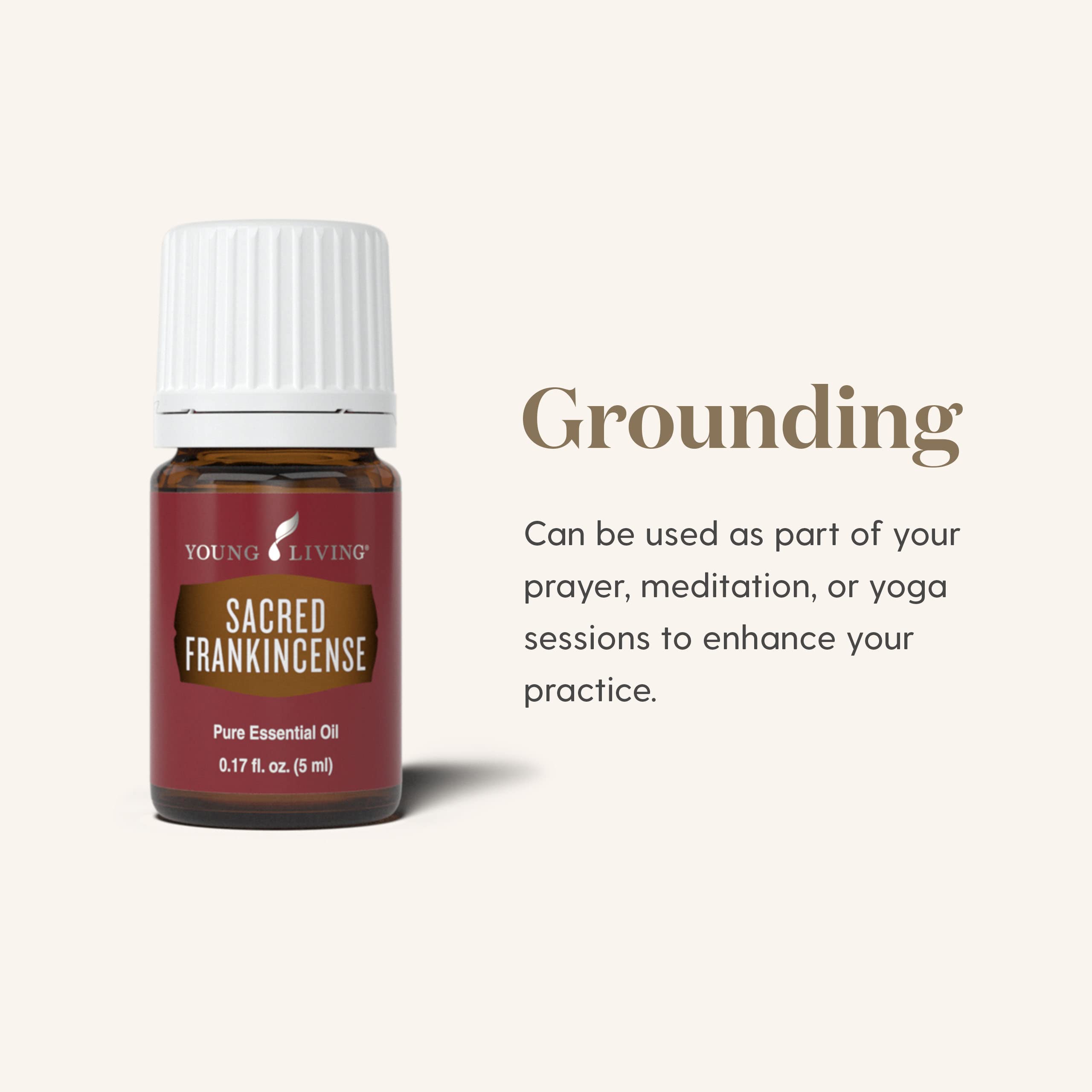 Meditative moment with Sacred Frankincense elevates mindful breath and reflection.